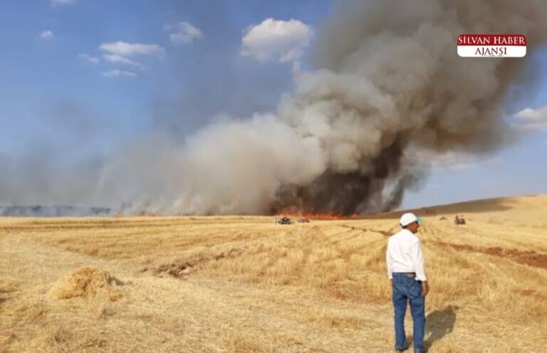 SİLVANDA ARAZİ YANGINI