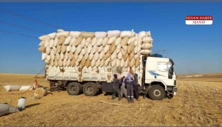 TOZU GÖZLERİ KÖR EDEN SAMAN’DAN EKMEK PARASI ÇIKARIYORLAR