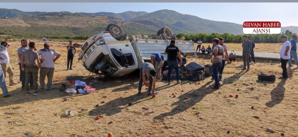 Kontrolden Çıkan Kamyonet Devrildi