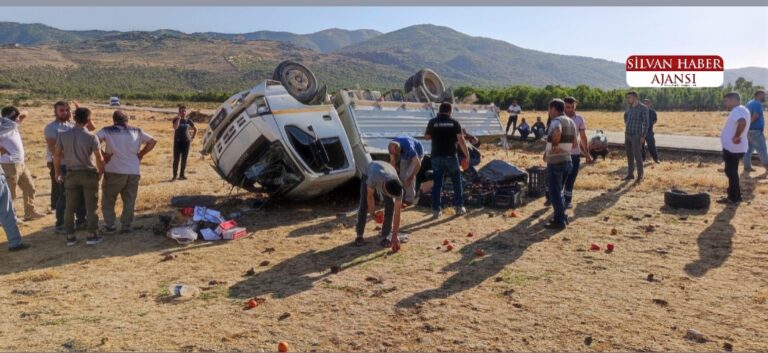 Kontrolden Çıkan Kamyonet Devrildi
