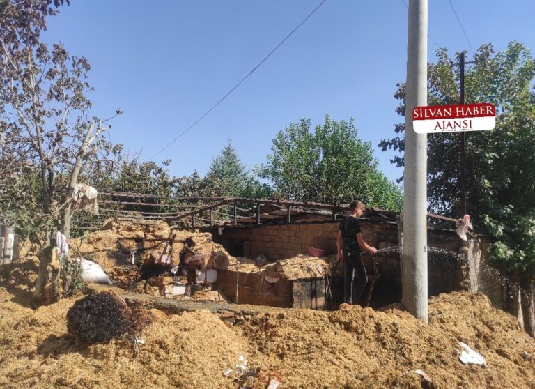 Ahırda Çıkan Yangında 30 Tona Yakın Saman Kül Oldu