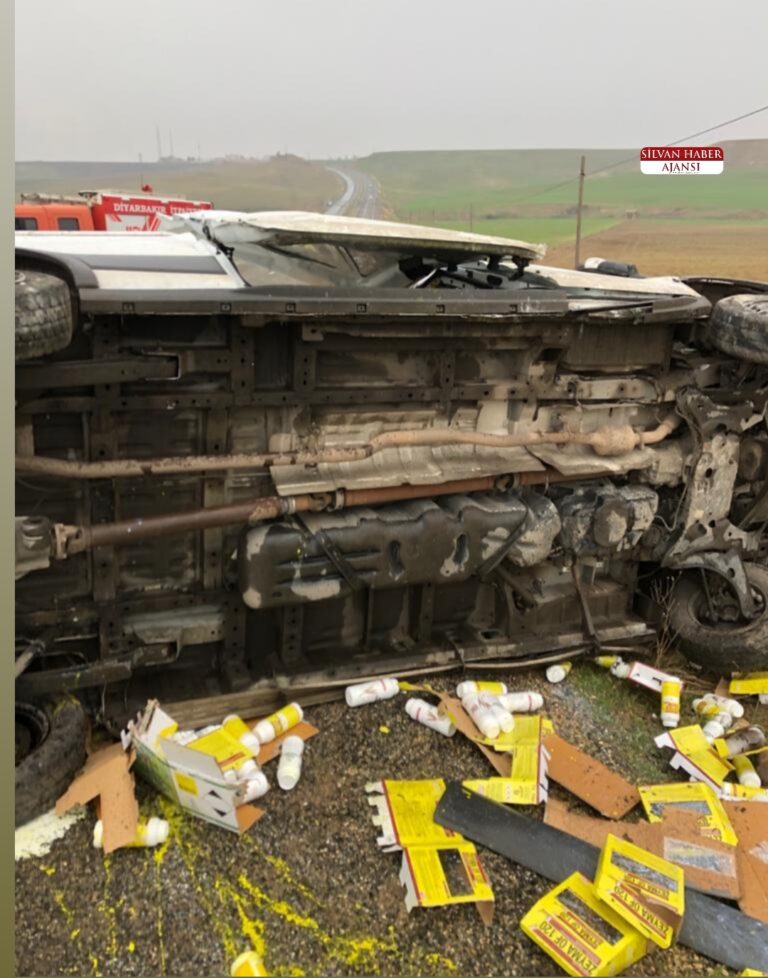 Minibüs Devrildi 1 Kişi Yaralandı