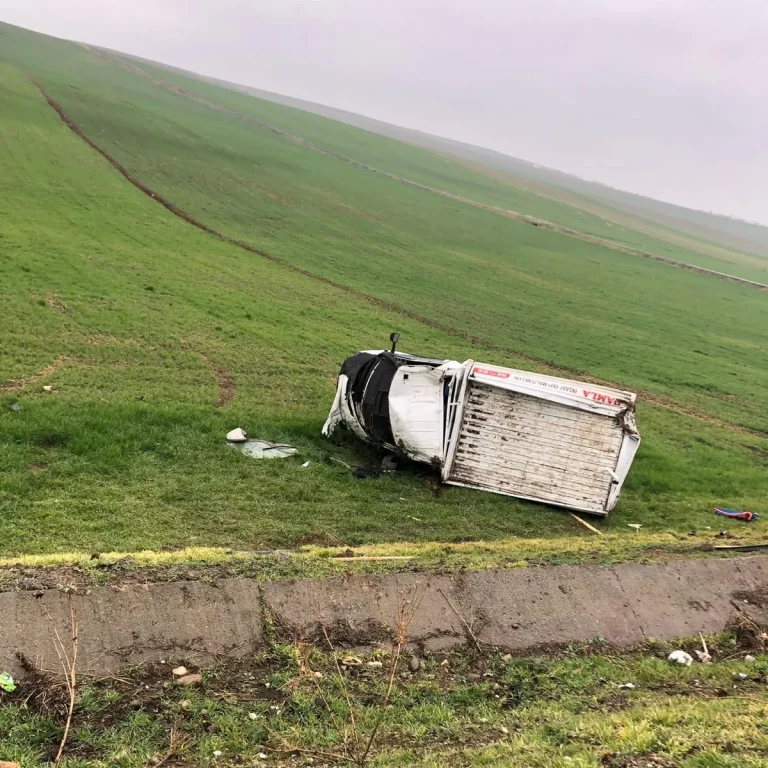 Kamyonet Şarampole Yuvarlandı: 1 Yaralı