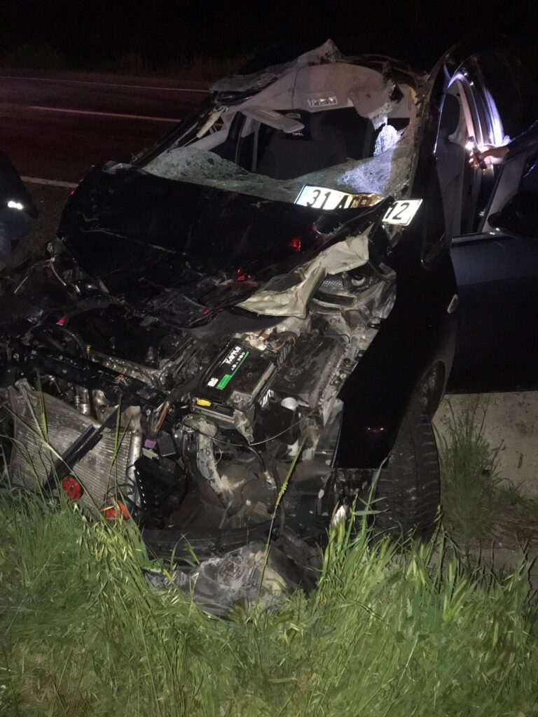 Araç Mandaya Çarptı