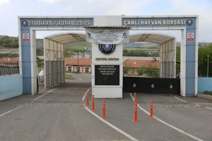 Hayvan Pazarları Tekrar Açıldı