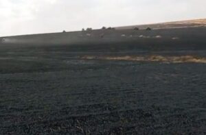 Diyarbakır’da 500 Dönümlük Buğday Kül Oldu