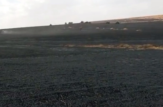 Diyarbakır’da 500 Dönümlük Buğday Kül Oldu