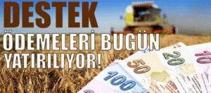 Tarımsal Destekleme Ödemeleri Bugün Yatırılıyor!