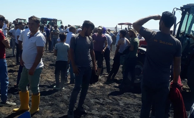 Diyarbakır’da 30 Dönüm Ekili Alan Yandı