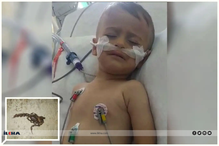 Akrebin Soktuğu Küçük Çocuk Yoğun Bakımda