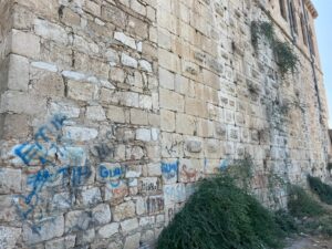 Silvan Surları yazı tahtasına döndü!