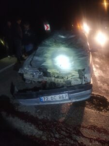 Gece Yola Çıkan Hayvanlar Araba’ya Çarptı