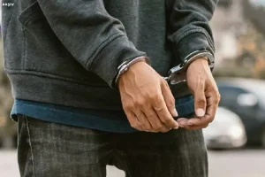 Diyarbakır’da Çalıntı Araç Soruşturması: 7 Gözaltı