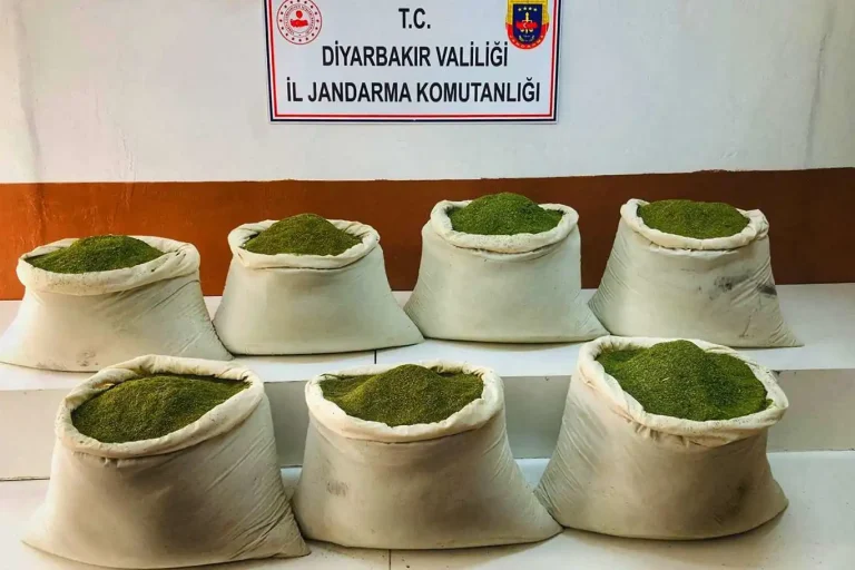 Diyarbakır’da 312 Kilogram Esrar Ele Geçirildi