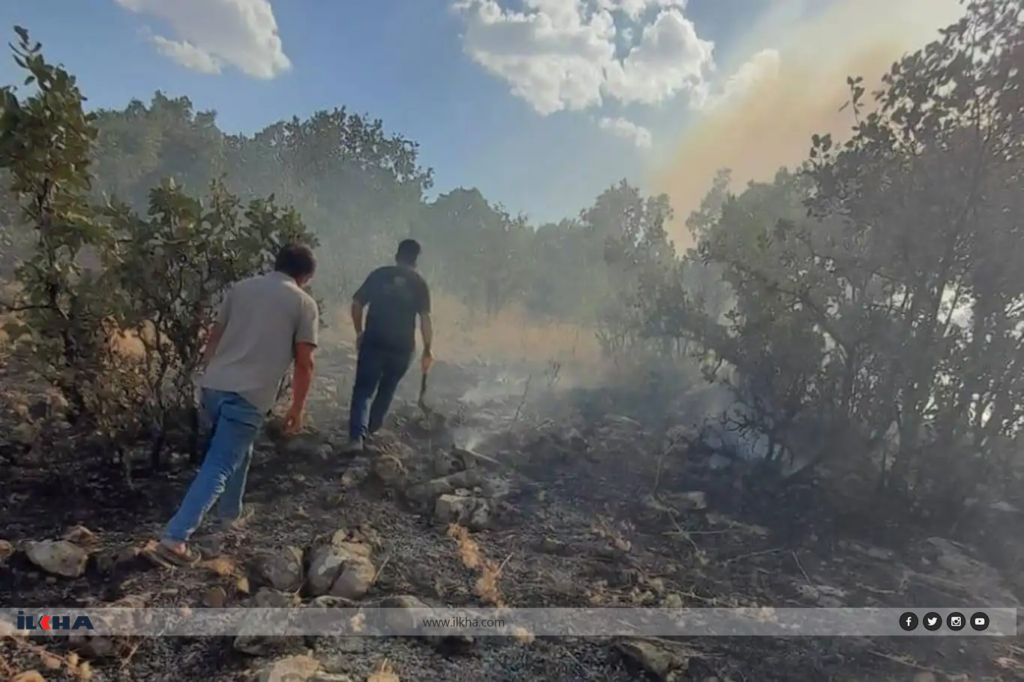 Diyarbakır’da örtü yangını çıktı