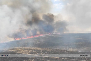 Diyarbakır’da 400 dönümlük ekili arazi yanarak küle döndü