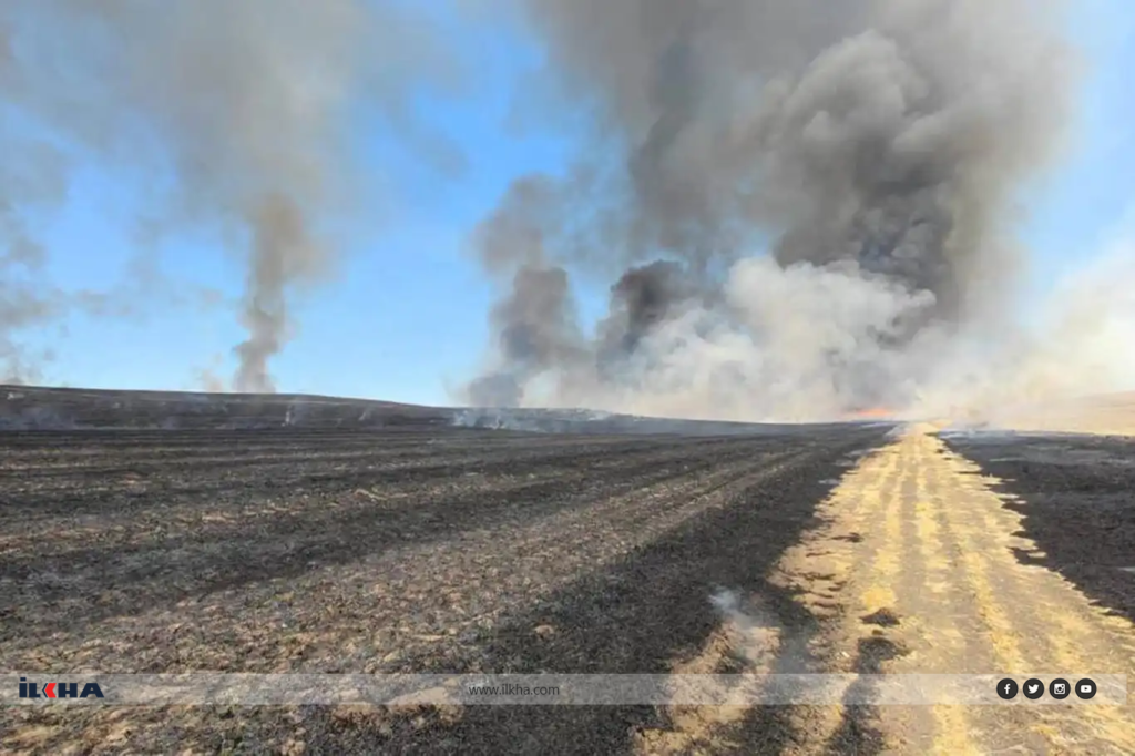 Diyarbakır’da çıkan yangında 500 dönüm alan zarar gördü